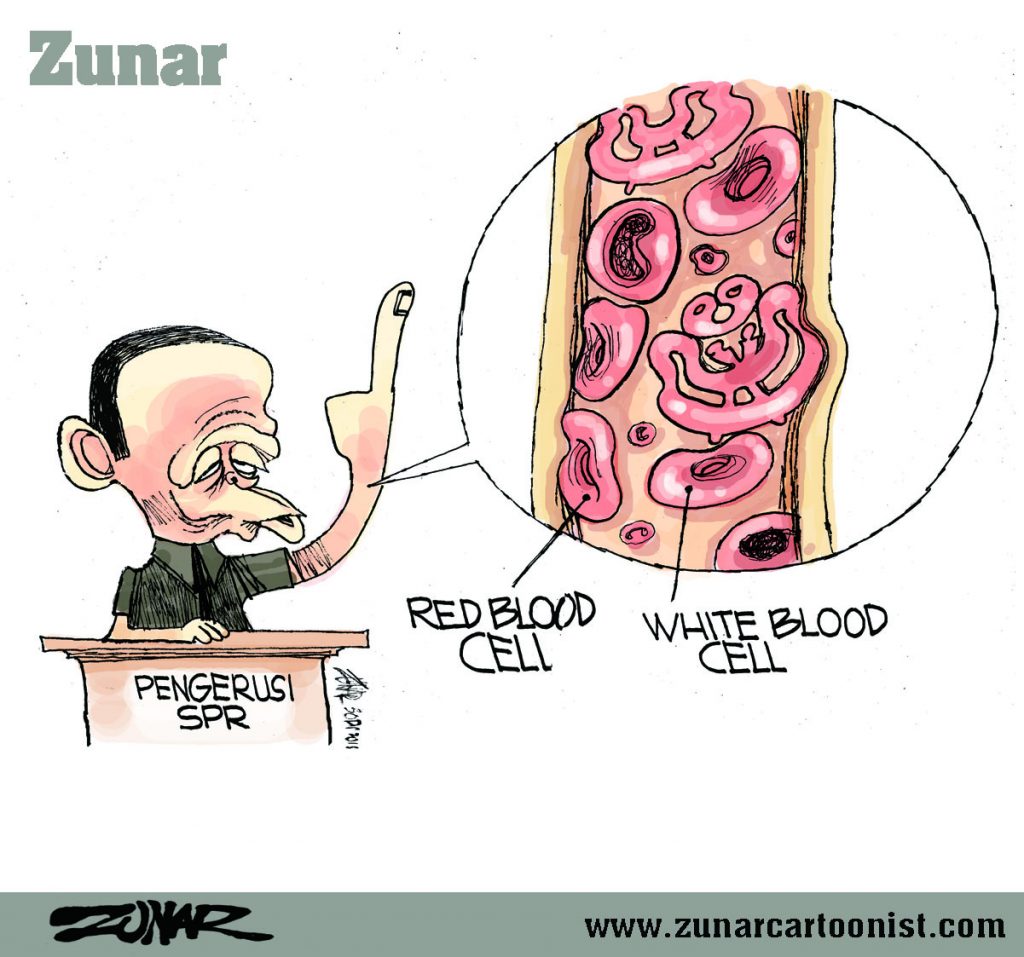 PENGERUSI SPR 31 JAN 2013